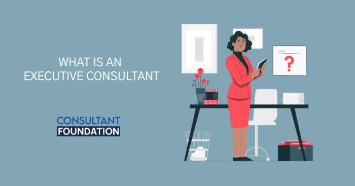What Is An Executive Consultant? Mentor consultant