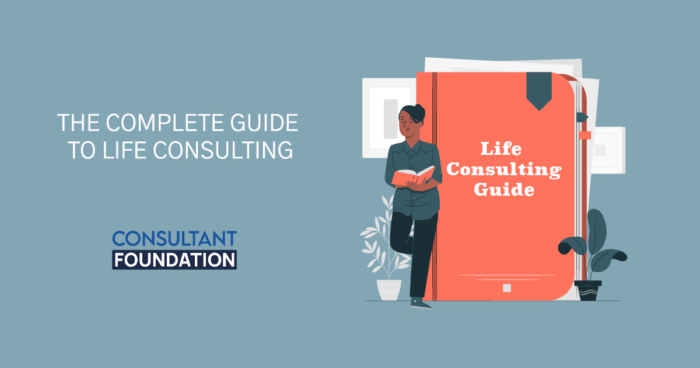 The Complete Guide to Life Consulting Mentor consultant