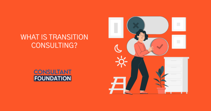 WHAT IS TRANSITION CONSULTING? Mentor consultant